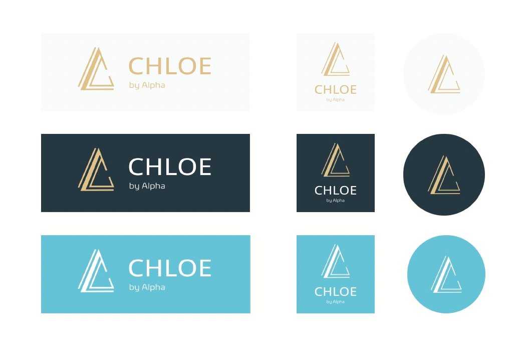 Visual Identity and Color Palette
